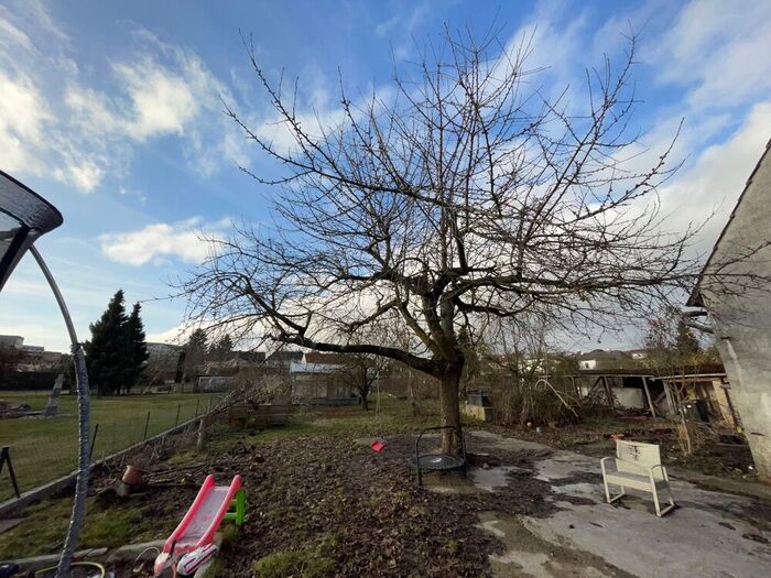 DHH Haldensleben 1.4 DHH Haldensleben 1.4…