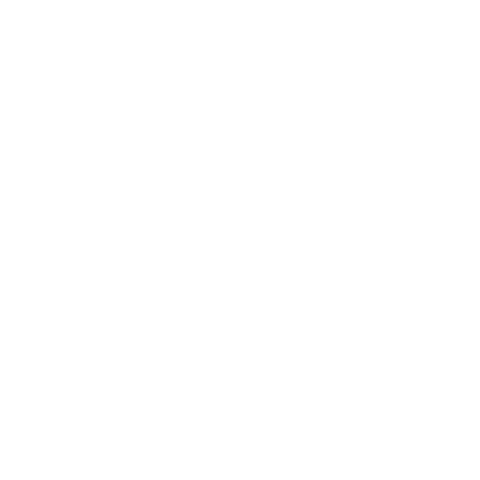 Pulst Immobilien Magdeburg - Besichtigung